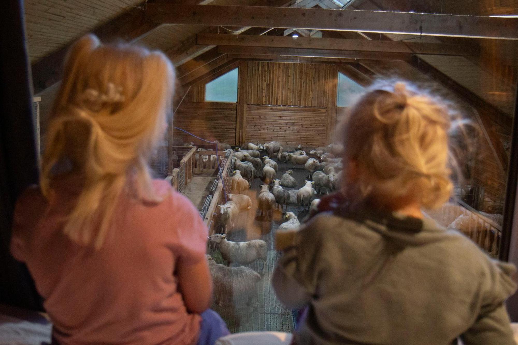 Unik Fjosleilighet Levanger Buitenkant foto