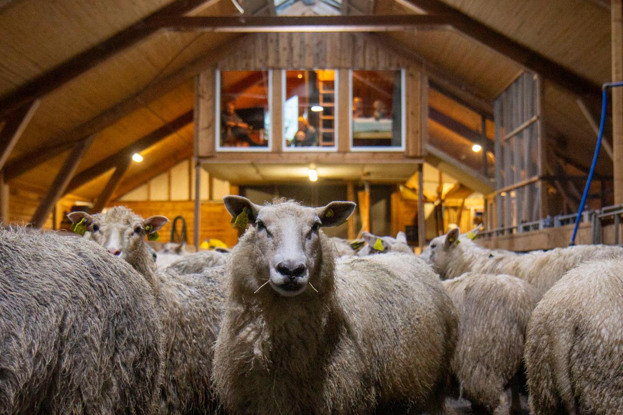 Unik Fjosleilighet Levanger Buitenkant foto
