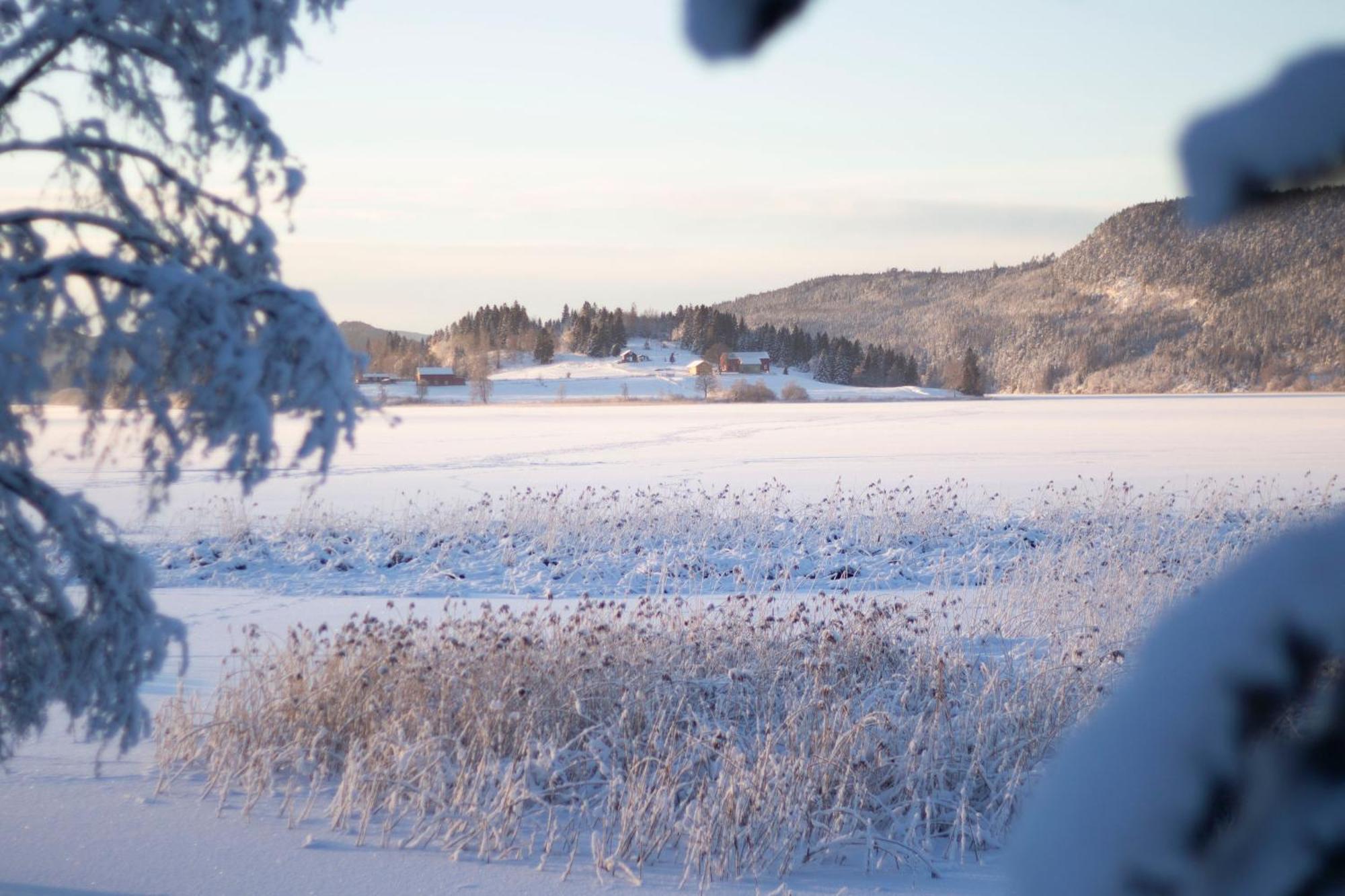 Unik Fjosleilighet Levanger Buitenkant foto