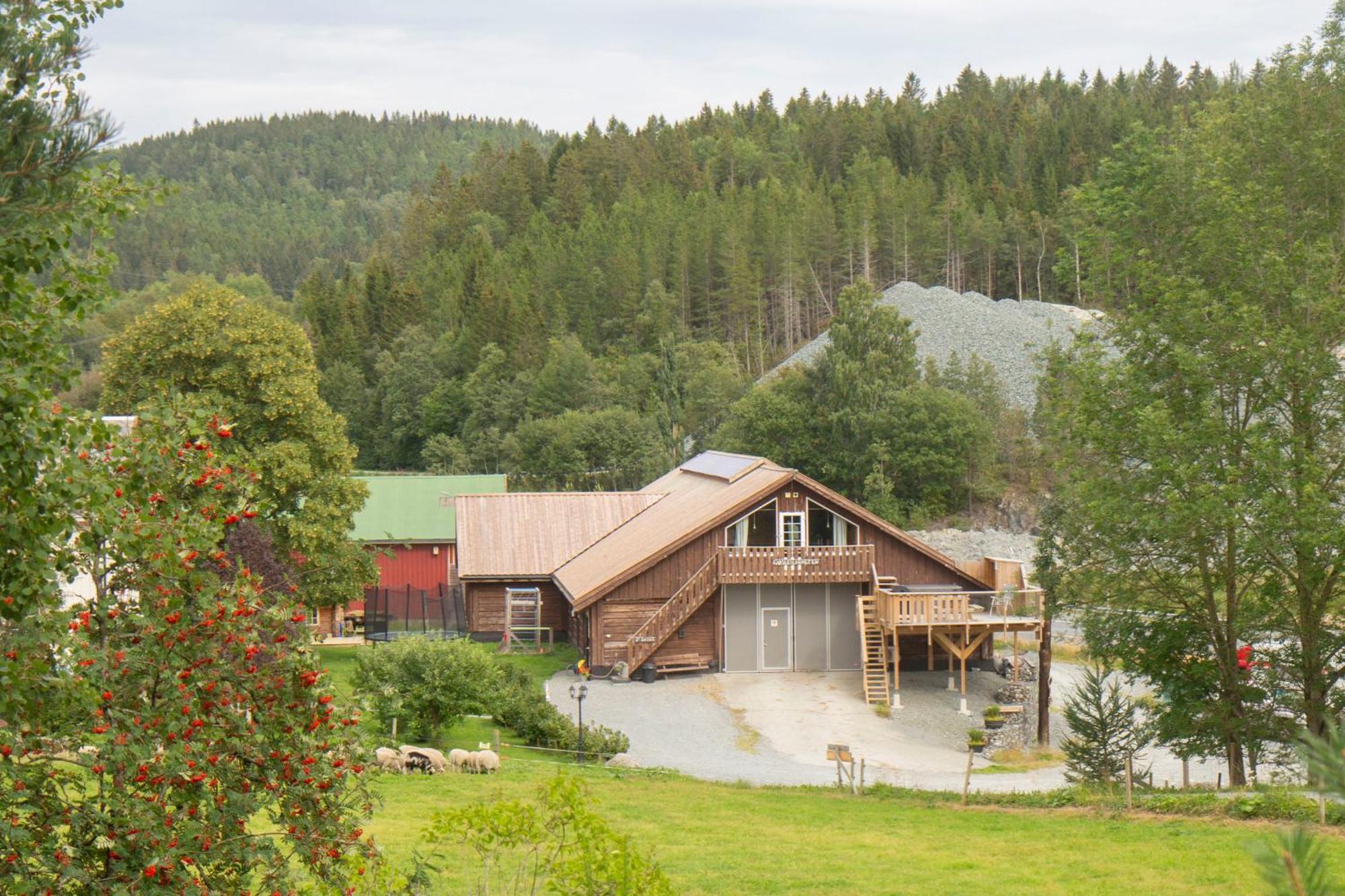 Unik Fjosleilighet Levanger Buitenkant foto